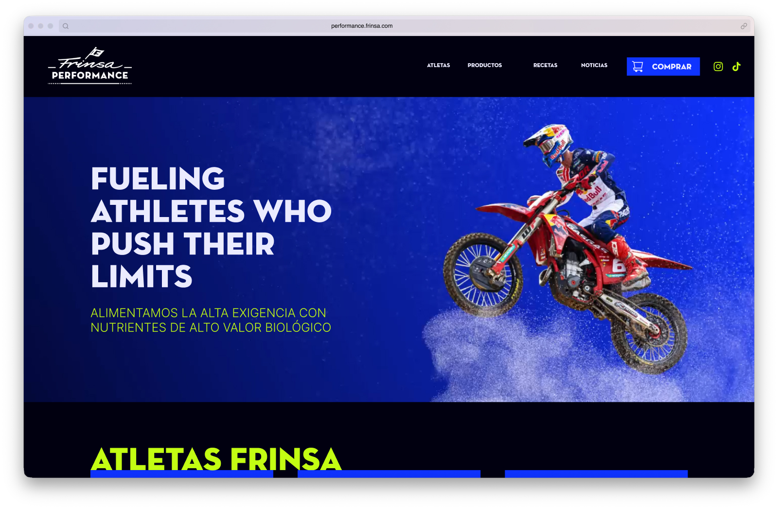 Frinsa Performance — home page