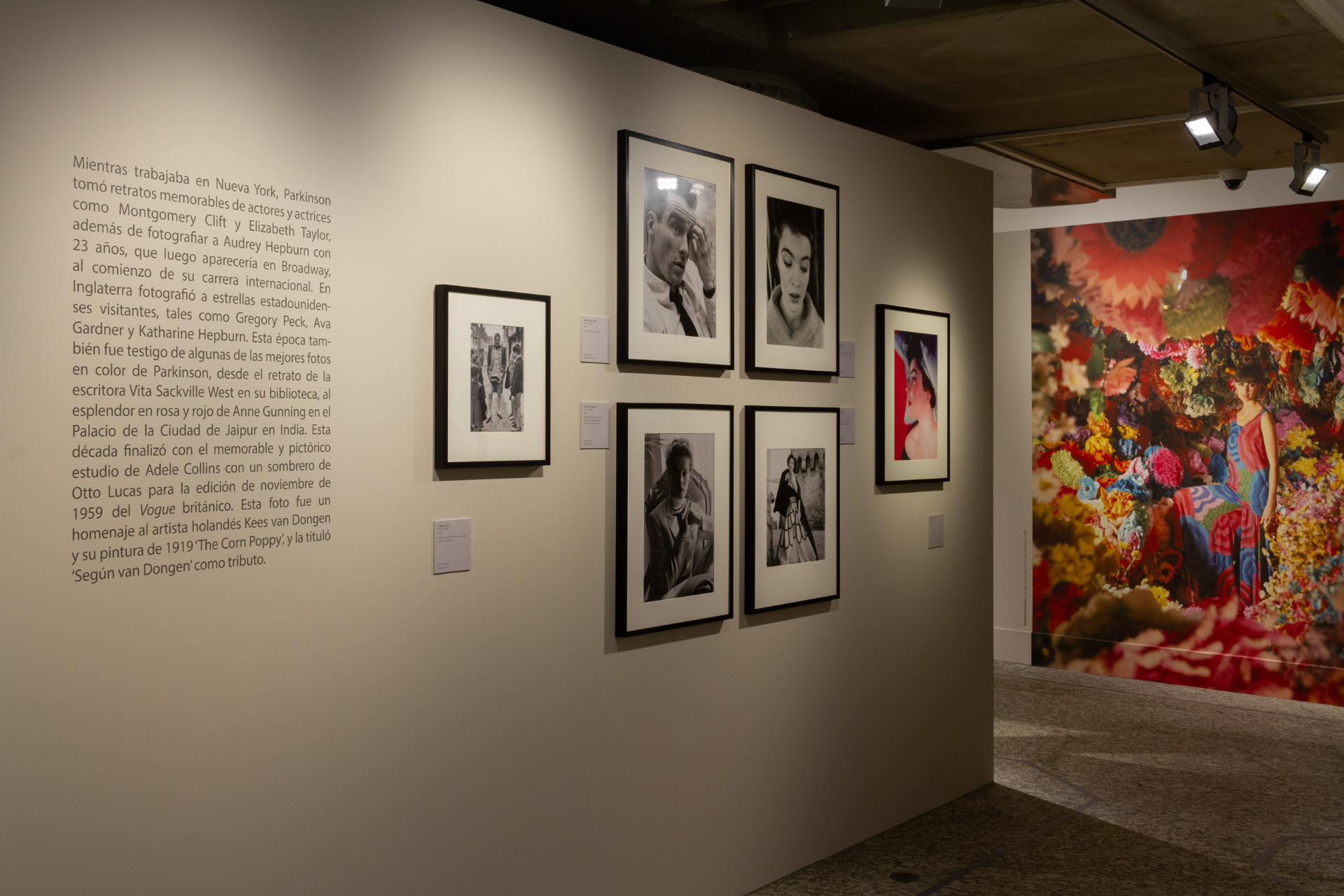 Wall with curator's text, photographs and large-format vinyl mural